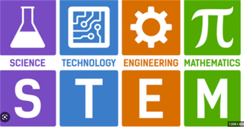 stem