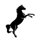 Chateaux School Logo